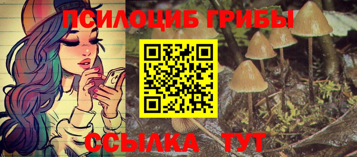 Псилоцибиновые грибы MAGIC MUSHROOMS Кашира