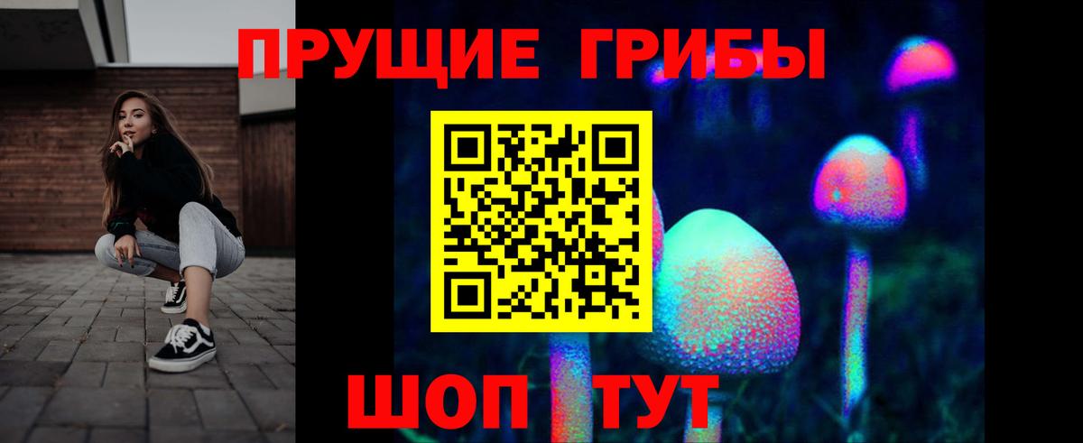 Псилоцибиновые грибы Psilocybine cubensis  Вход с VPN  Кашира  Галлюциногенные грибы прущие грибы 