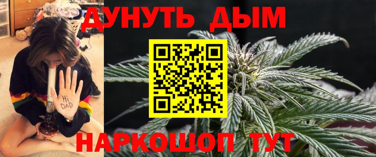 Каннабис индика Кашира